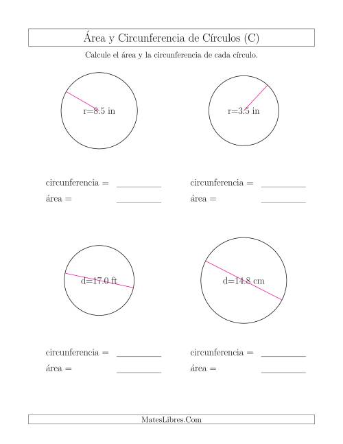 La hoja de ejercicios de Calcular la Circunferencia y el Área de Círculos (C)